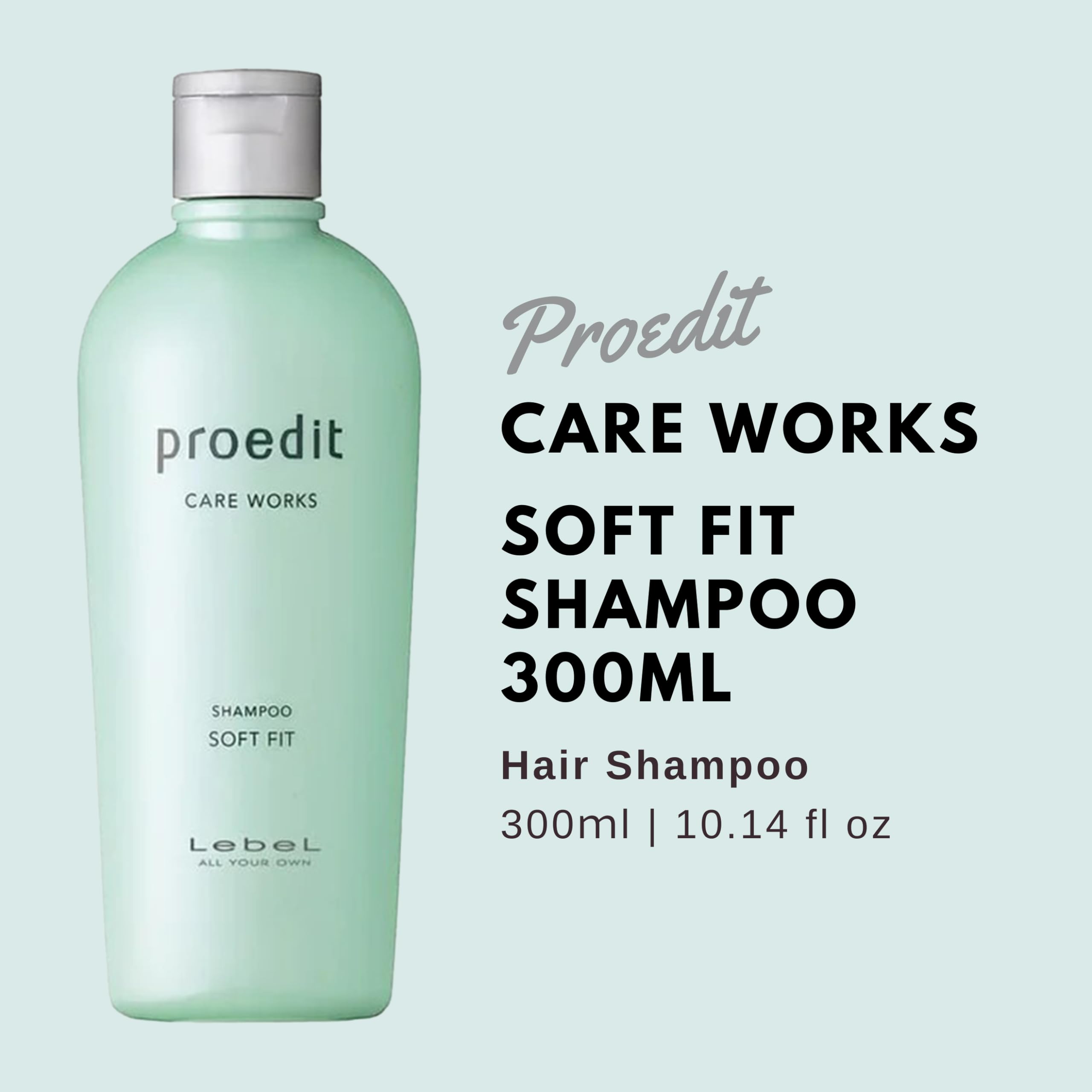 proedit care works (HOME CHARGE)